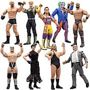 WWE Classic Superstars Wave 27 Action Figure Case